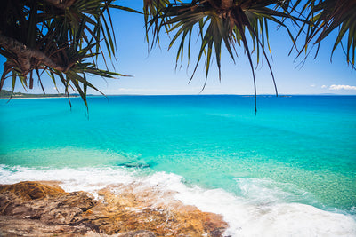 a pandanus palm overhanging the calm blue ocean and rocks with Home Beach North Stradbroke Island in the background