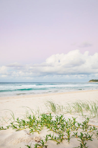 Beach with dune grass waves clouds and pastel sky at dusk on Home Beach North Stradbroke Island