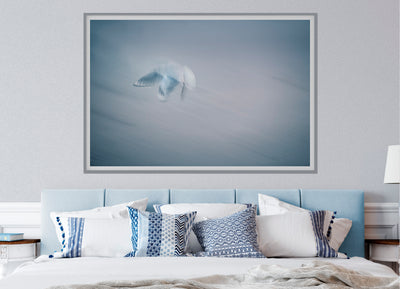Gentle blue abstract photograph of a bird in flight photo by Julie Sisco north stradbroke island displayed in master bedroom