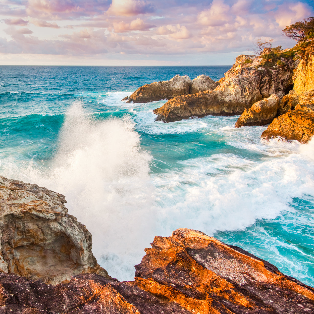 Snapshots of Straddie