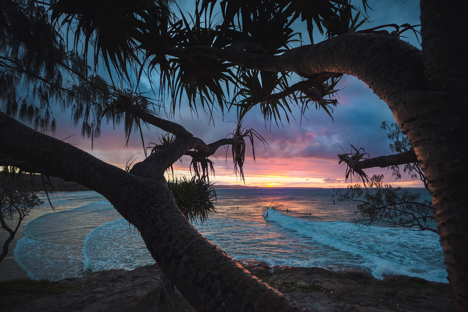 Pandanus Sunset at Adder Rock