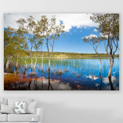 wall art photography lake and trees with reflections on a wall in a living room