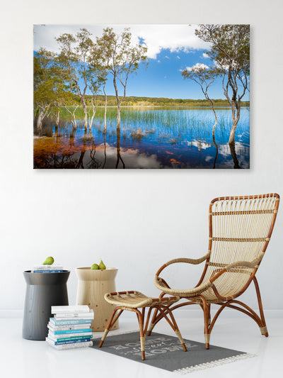 wall art canvas of peaceful Brown Lake framed by paperbark trees on the wall with a cane chair in front