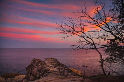 sunset over Whale Rock with red clouds, rocks, cliff edge and trees and the ocean north stradbroke island