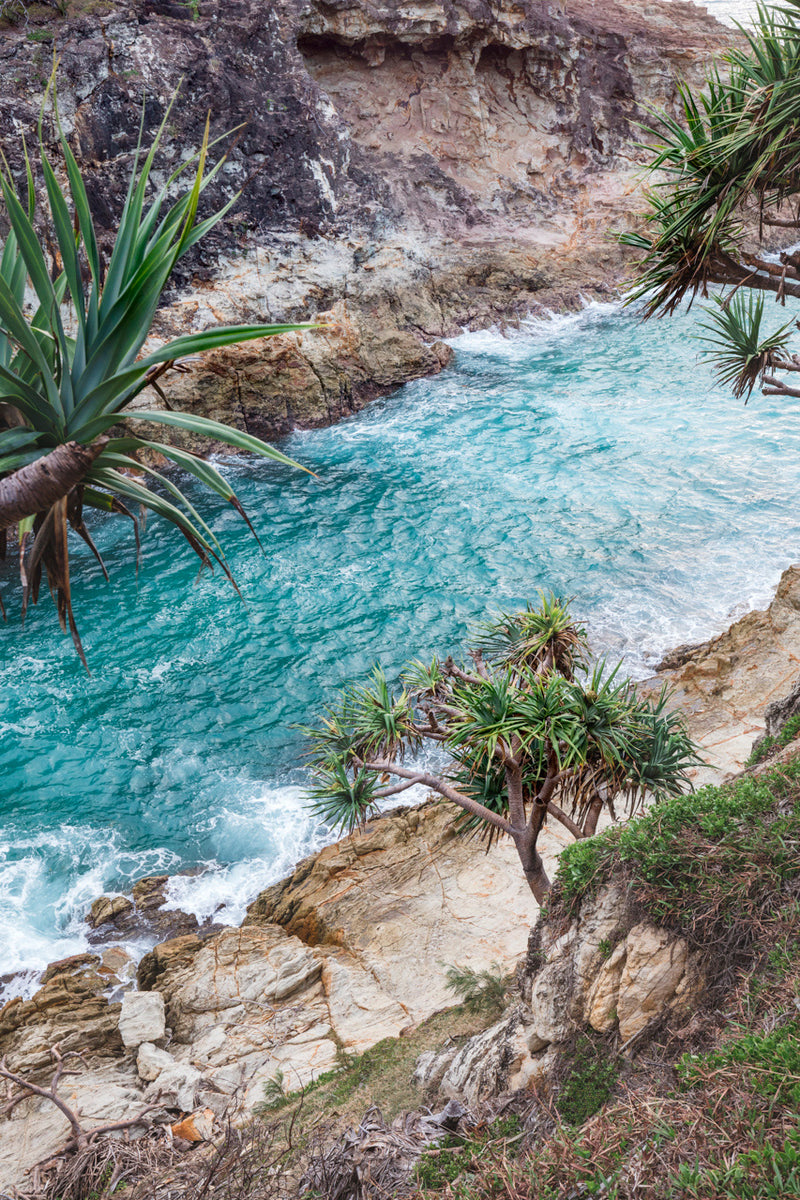 Blue Ocean Coastal Pandanus Palms Rocky Cliffs Photographic Wall Art Print Stradbroke Island - Diagonally