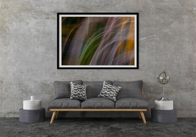 Abstract Colourful Elegant Wall Art Artistic Photographic Print - Fleeting