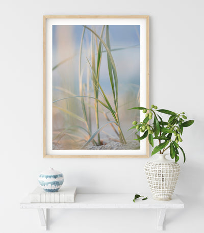 Dune grass framed print on the wall with natural wood frame and close up dune grass image in blues and greens interior wall art design