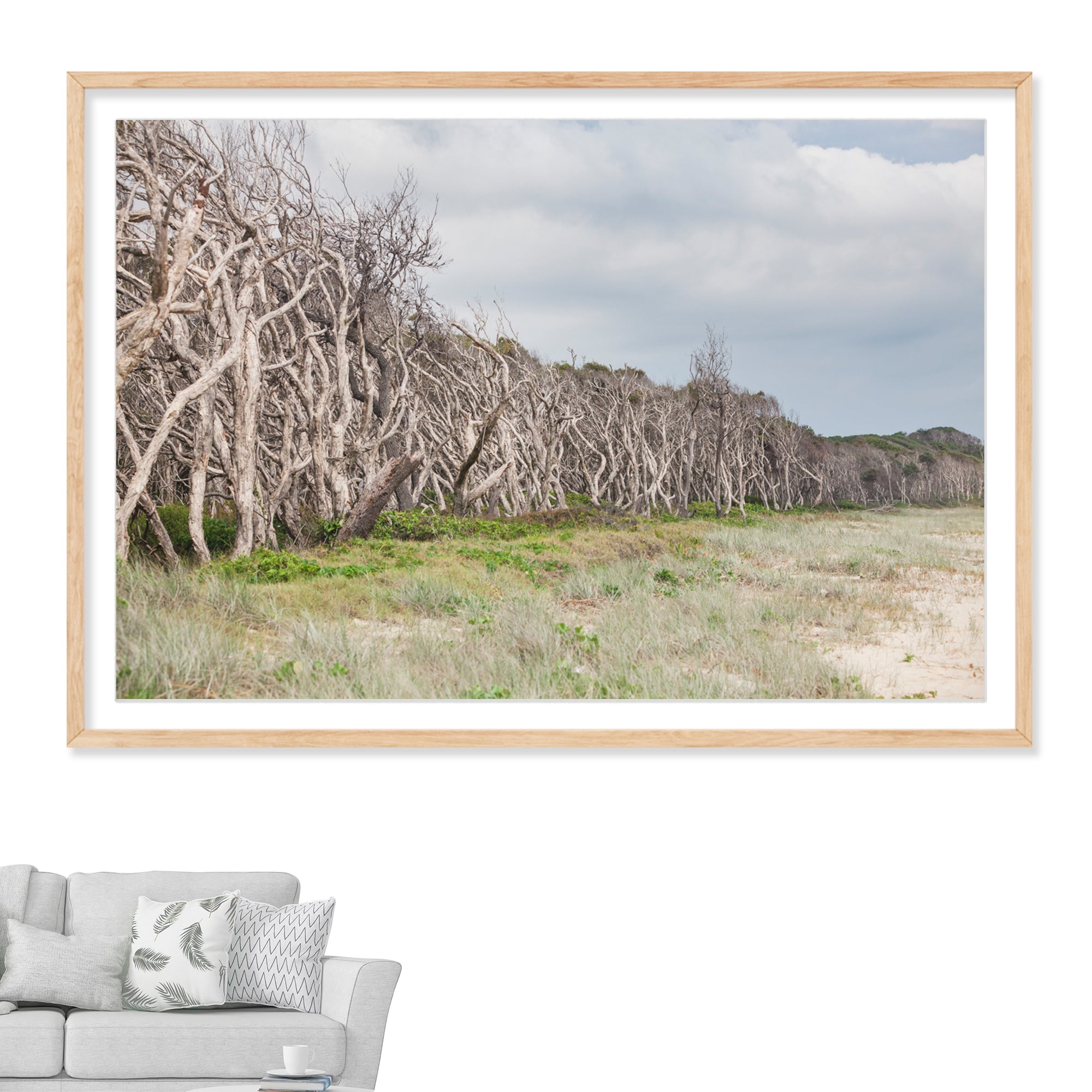 Oh Those Home Beach Trees 1