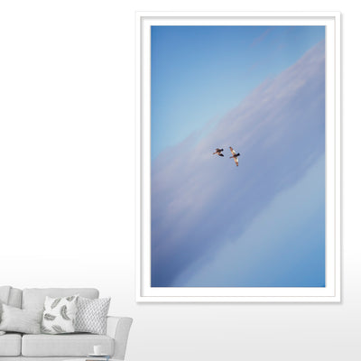 Ducks in Flight Cooling Blue Mauve Colour Palette Minimal Design Style Photographic Wall Art Print - Heading South