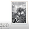 Black and White Wall Art Print Iconic Coastal Pandanus Palm North Stradbroke Gorge Walk - Follow Your Own Path