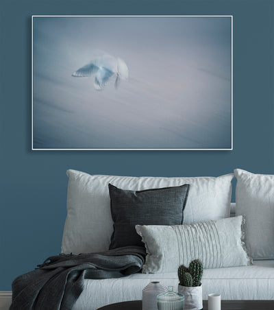 Gentle blue abstract photograph of a bird in flight photo by Julie Sisco north stradbroke island displayed in living room with blue wall