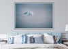 Gentle blue abstract photograph of a bird in flight photo by Julie Sisco north stradbroke island displayed in master bedroom