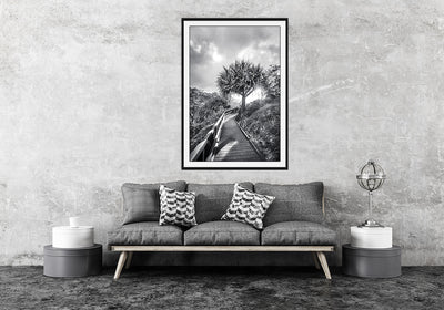 a living room featuring a wall art print of a pandanus palm and a boardwalk in black and white