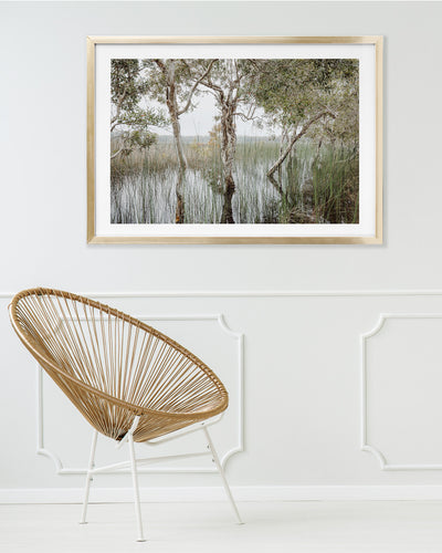 Paperbark trees wall art photograph in gold frame mock up by Julie Sisco Photography for Oceans Echo