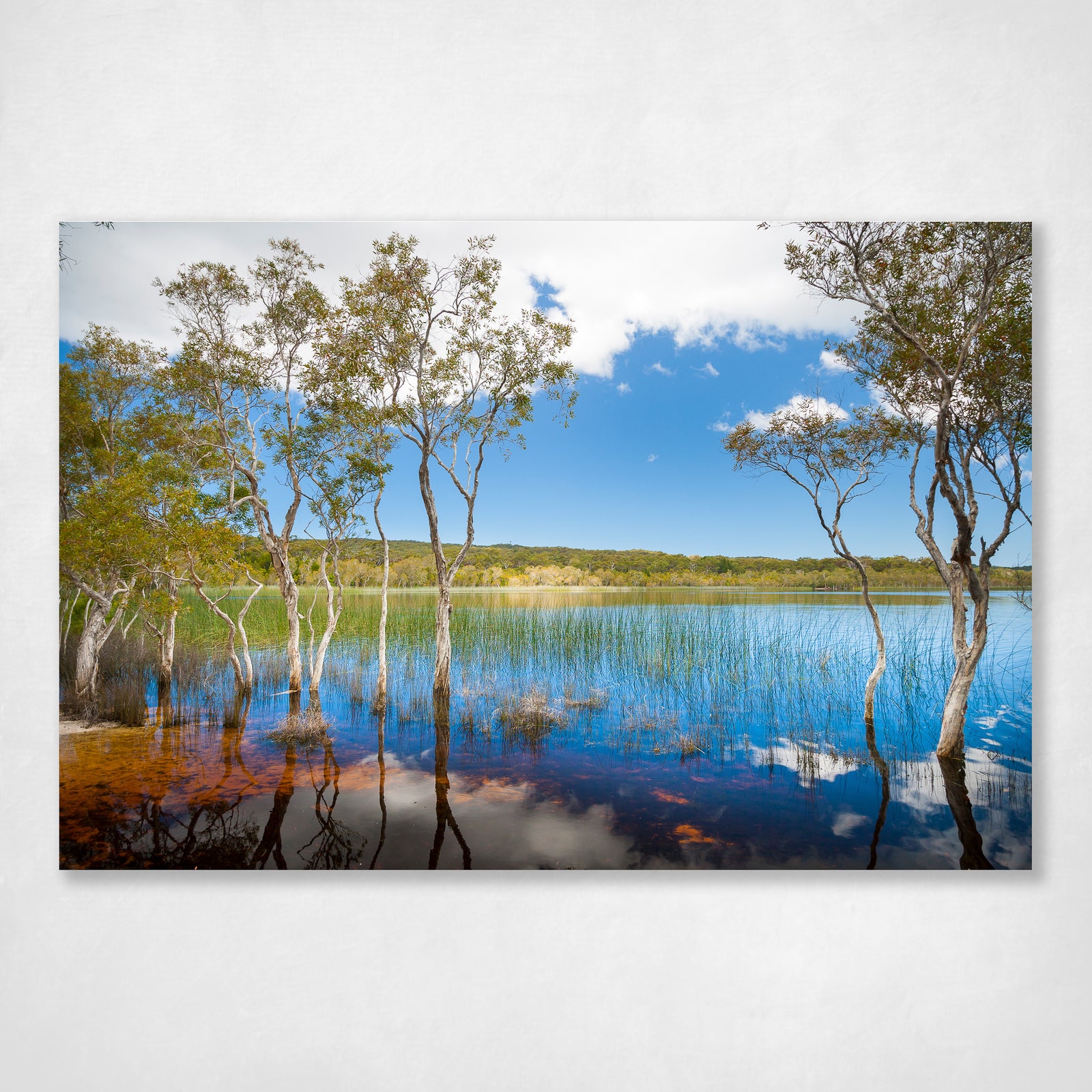Brown Lake on North Stradbroke Island wall art photographic print