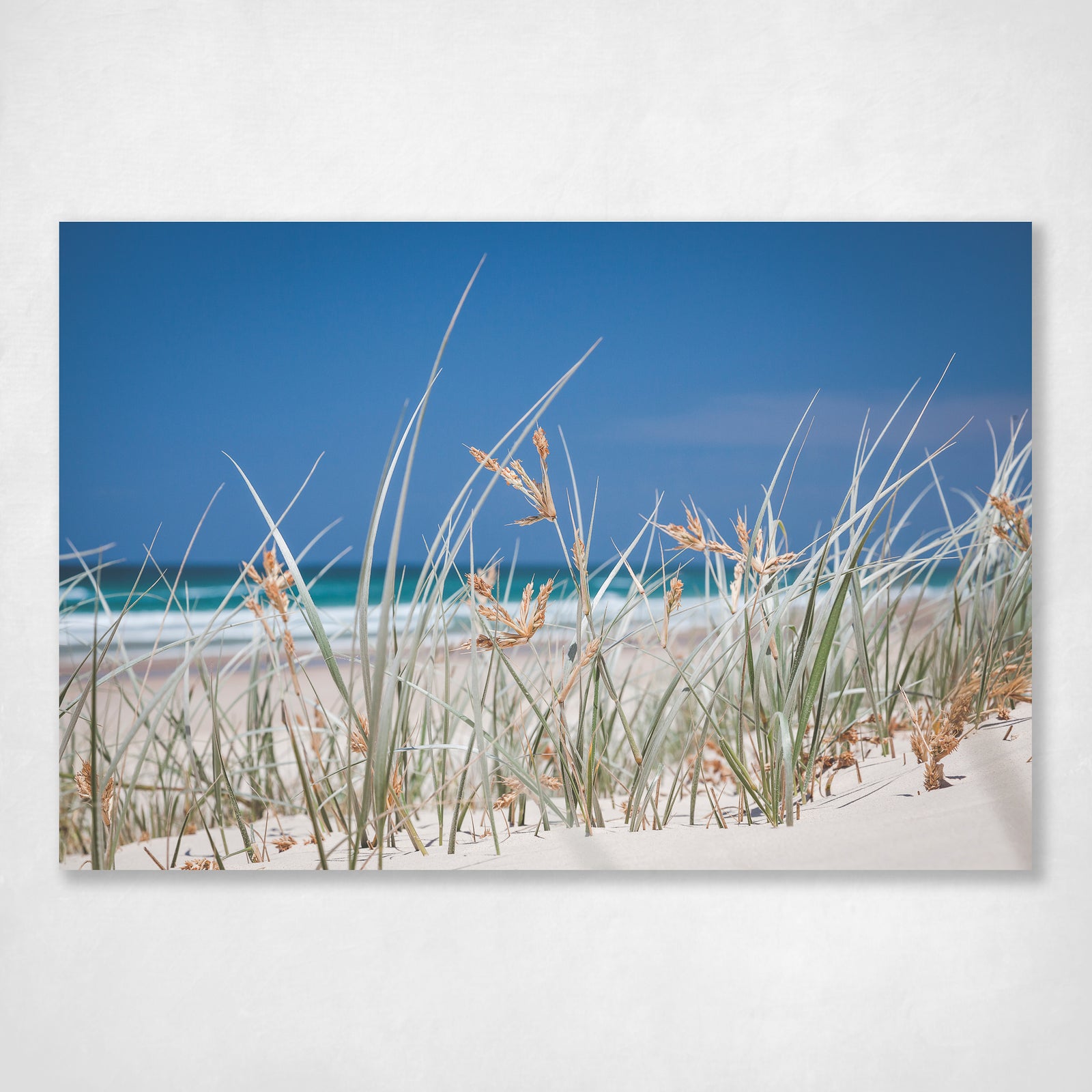 Dune Grass Coastal Wall Art Print Main Beach Stradbroke Island