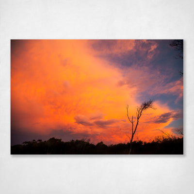 Sunset Wall Art Print - Fire in the Sky I