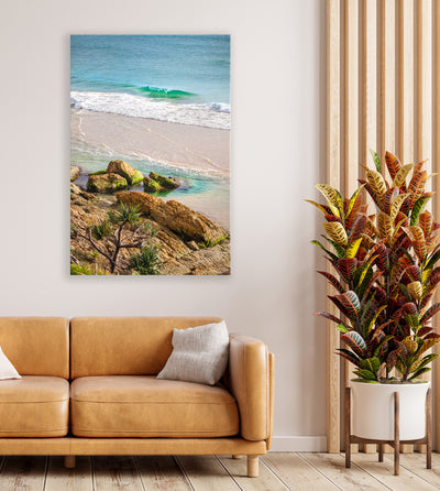 Stradbroke Coastal Beach Rocks Pandanus Palm Tree Wall Art Print - Castaways Lagoon