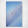 Ducks in Flight Cooling Blue Mauve Colour Palette Minimal Design Style Photographic Wall Art Print - Heading South