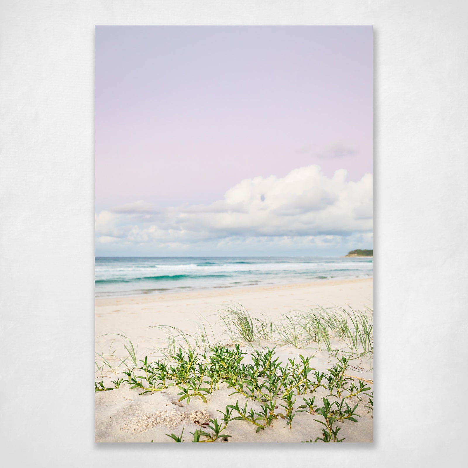 Dune Grass Beach Pastel Sunset Modern Wall Art Print Stradbroke Island - Dusk