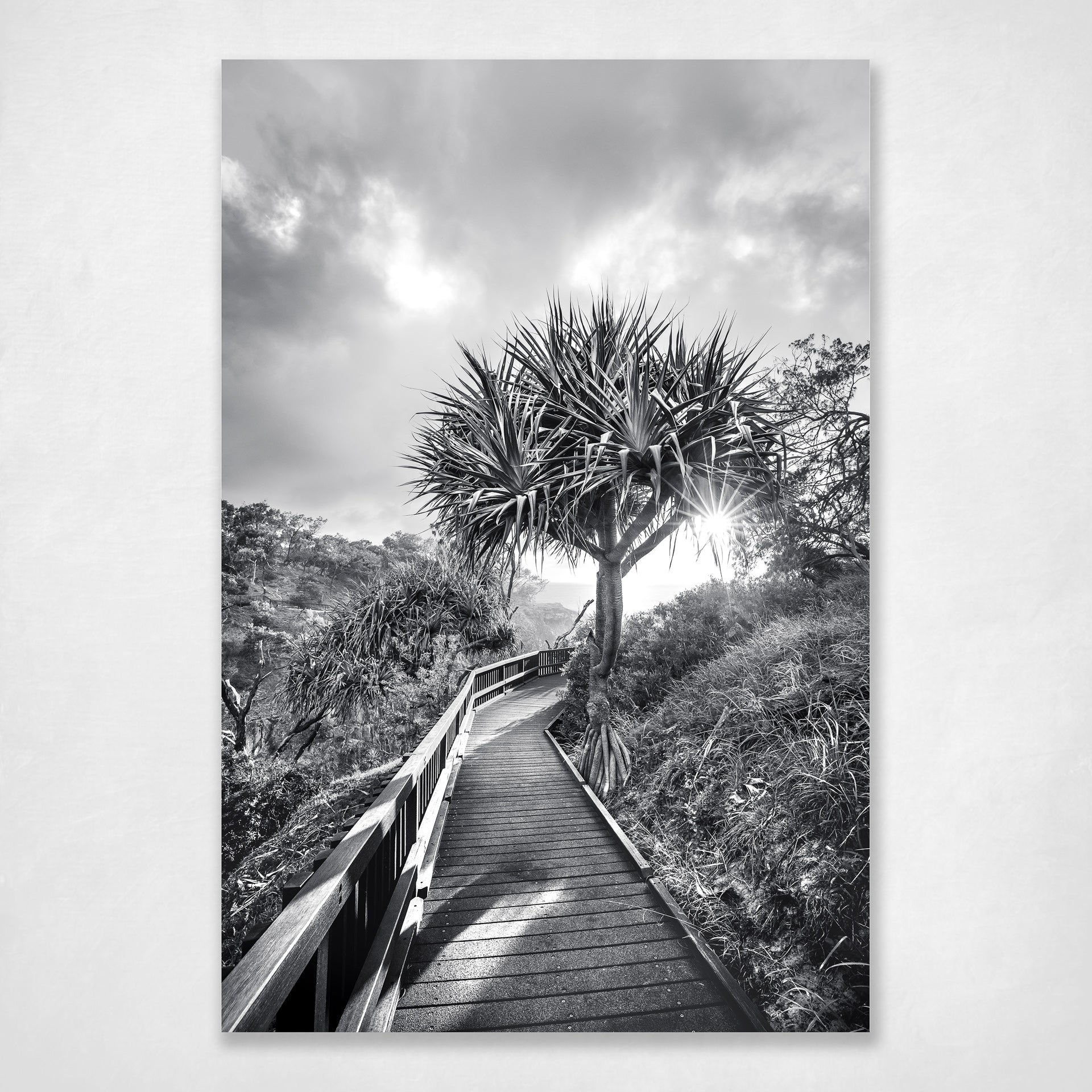 Black and White Wall Art Print Iconic Coastal Pandanus Palm North Stradbroke Gorge Walk - Follow Your Own Path