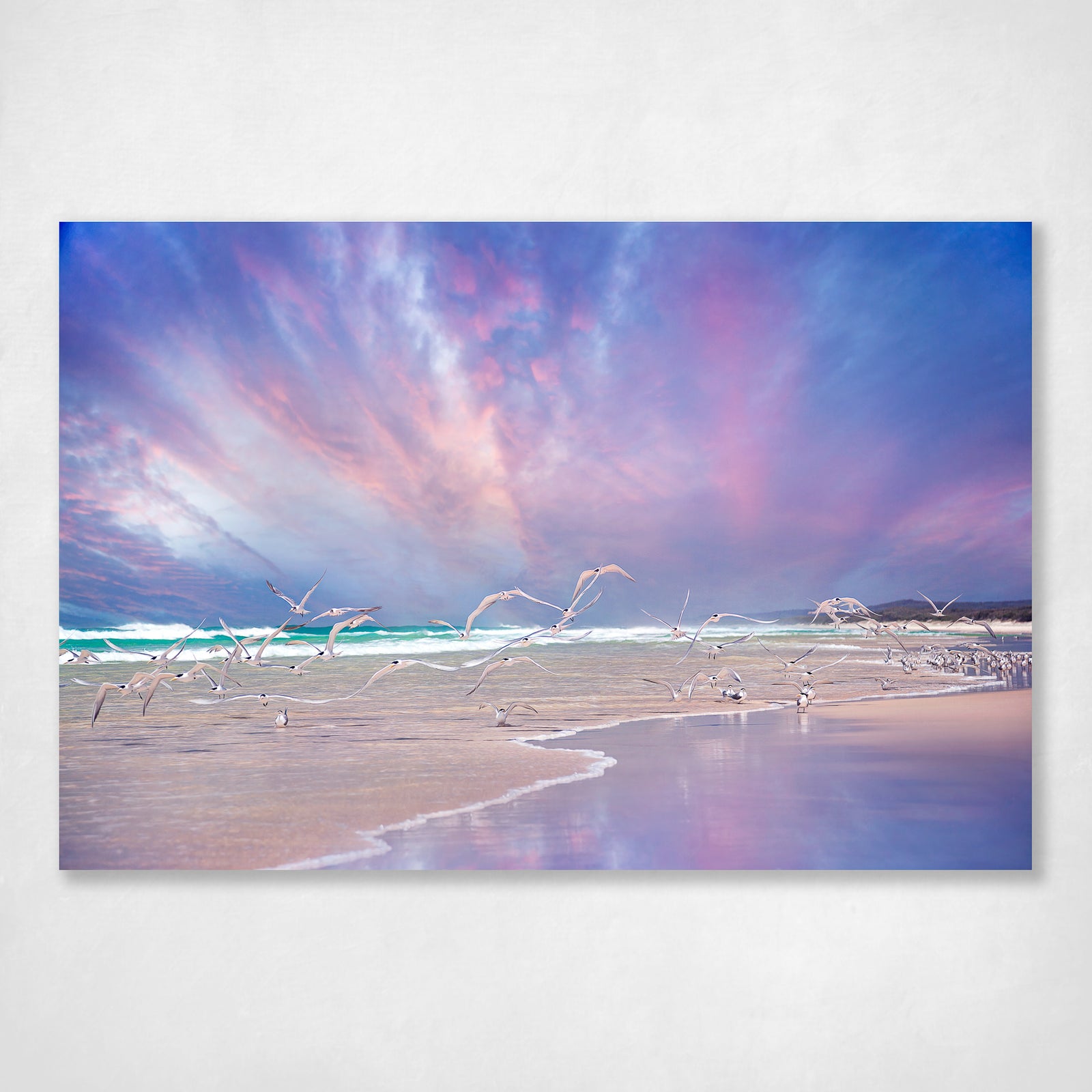 Stunning Coastal Wall Art Print Shore Birds in Flight Main Beach Stradbroke Island - Freedom