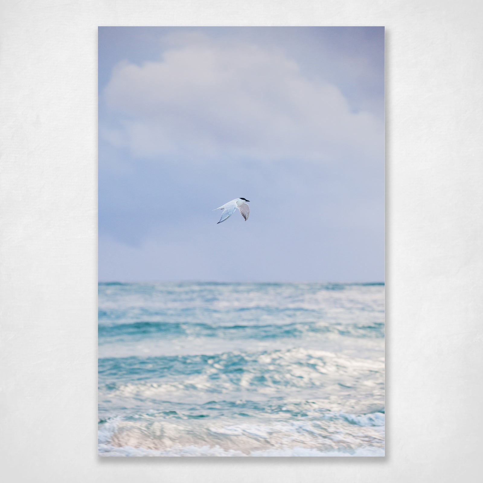 Coastal Ocean Bird Wall Art Print Cool Calming Tones - Frozen in Time
