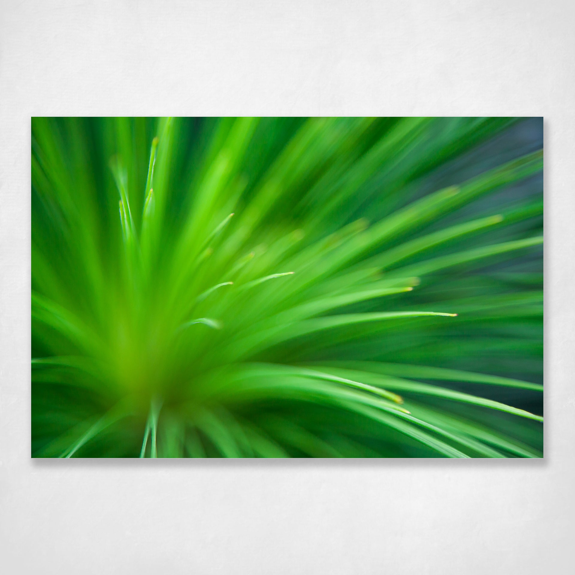 Botanical Wall Art Print Calming Abstract Green Fresh Tones - Stradbroke Island Grass Tree