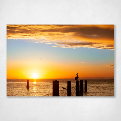 Stradbroke Island Sunset Pelican Amity Jetty Wall Art Print - Good afternoon