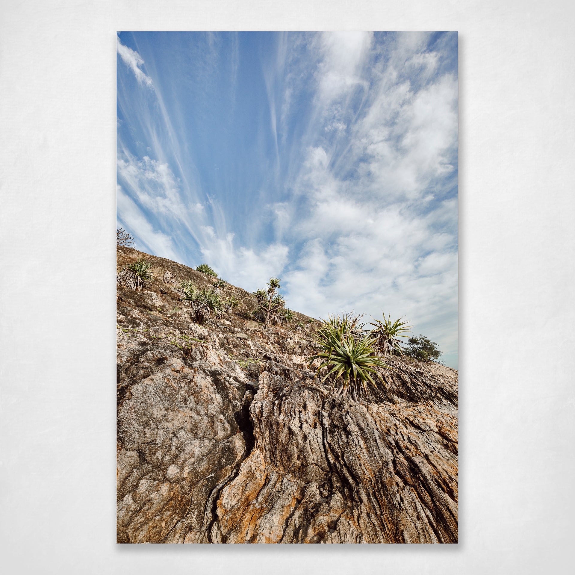 Rocky Lines