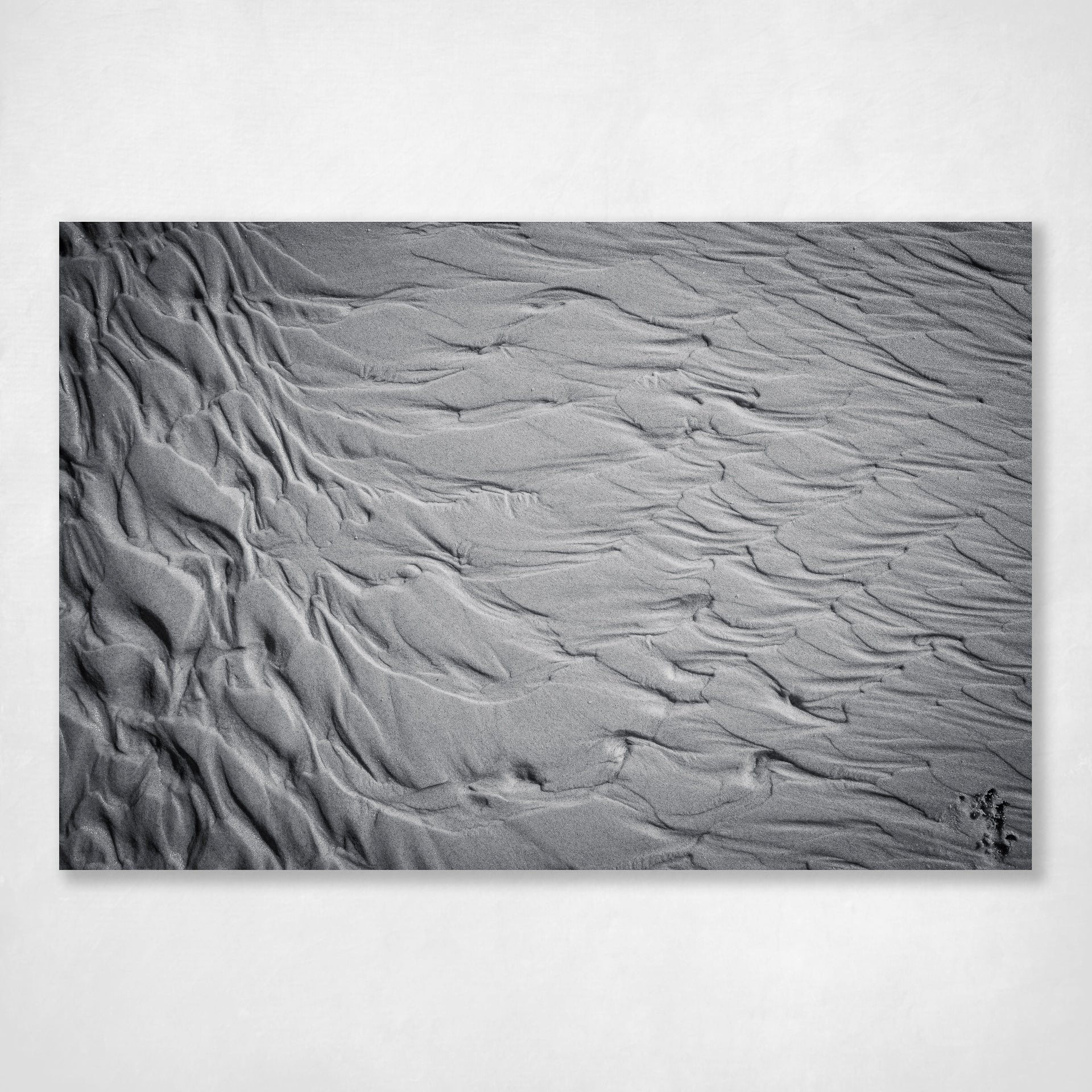 Abstract Black and White Coastal Wall Art Print Natural Patterns - Evidence