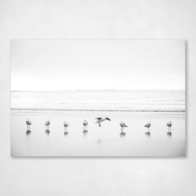 Seagulls B&W Coastal Wall Art Print - All in a Row