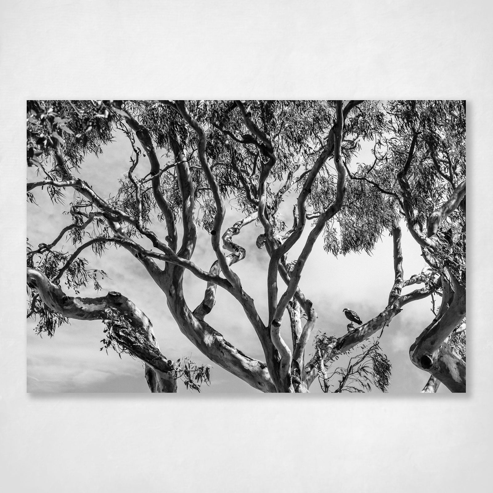 Watching and Waiting