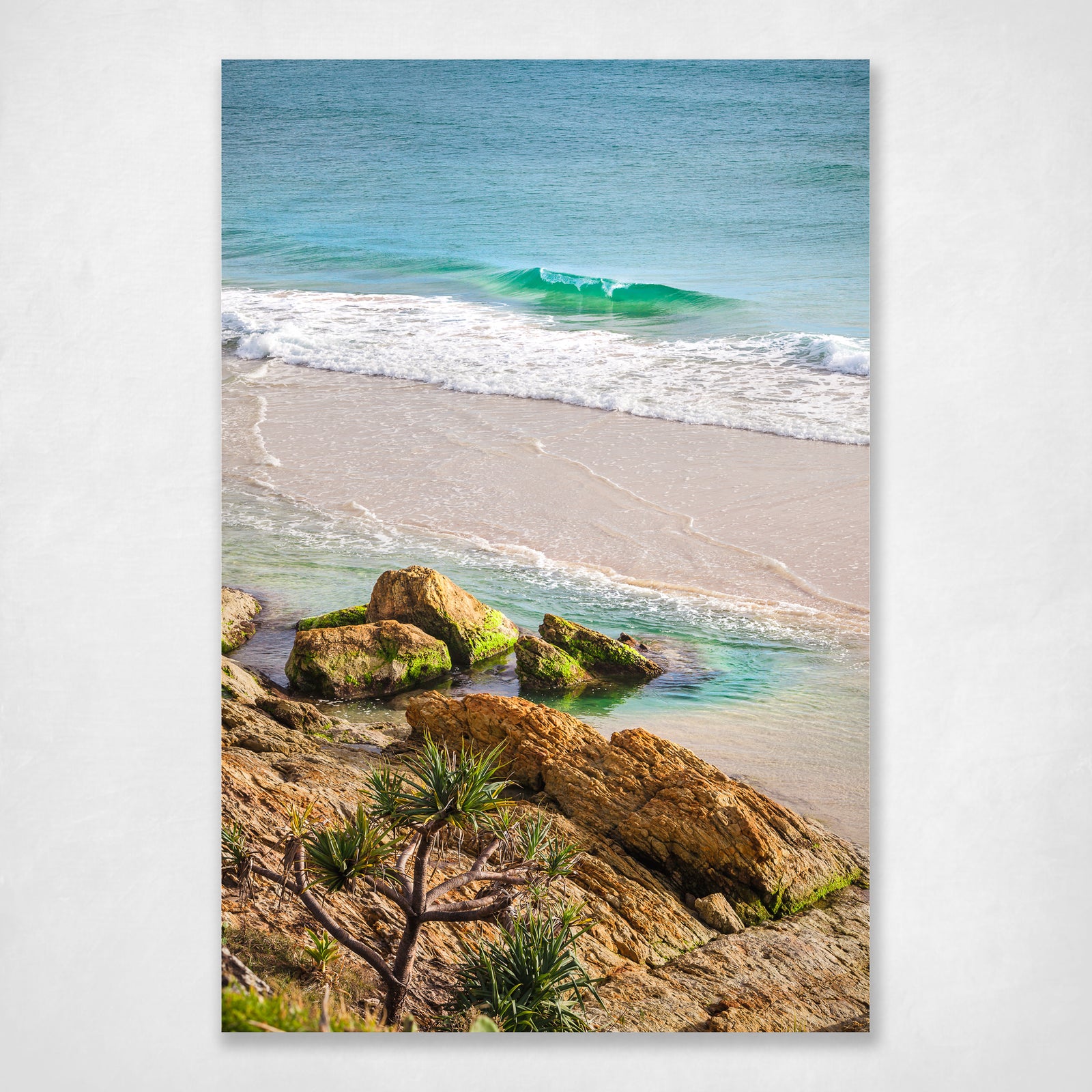 Stradbroke Coastal Beach Rocks Pandanus Palm Tree Wall Art Print - Castaways Lagoon
