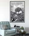 Pandanus tree on the Gorge Walk Board WAlk North Straddie Black and white wall art print with lounge chair mock up