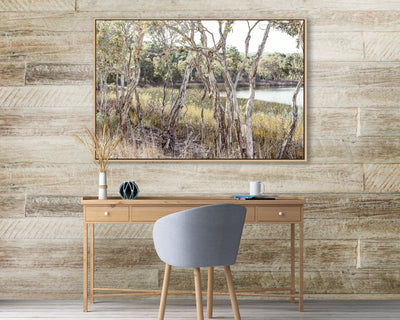 paperbark trees at brown lake wall art photograph on wood panel wall photograph by julie sisco stradbroke island